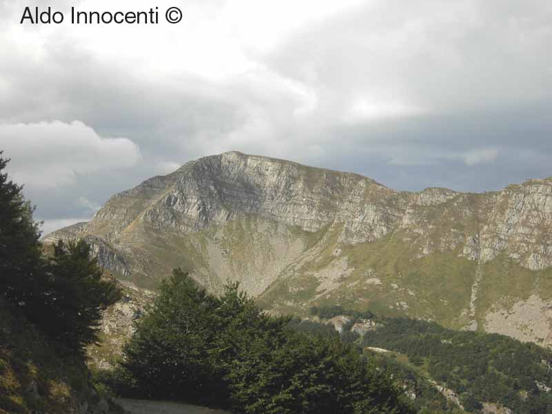 MONTE RONDINAIO DA VIA DELLA FOCE
